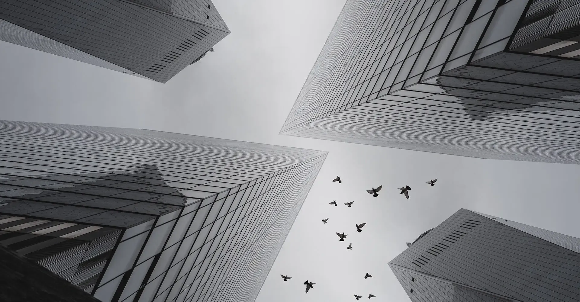 Kajiul%20islam%20Rony